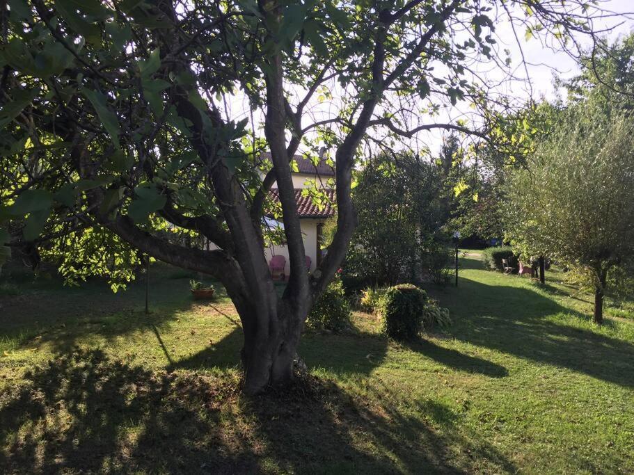 Chalet La Sequoia Orte Esterno foto